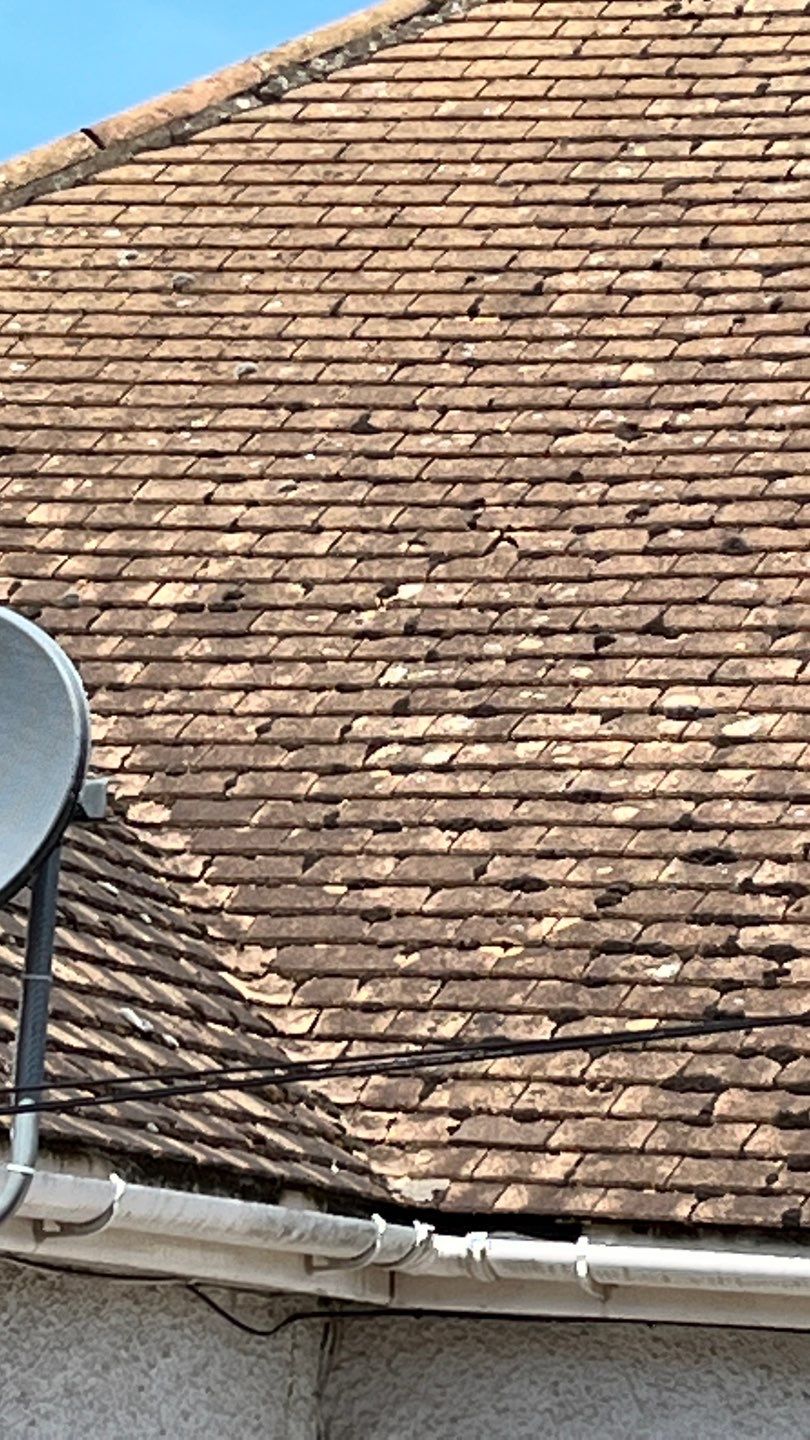 Roof Clean - Render Clean using Honda 15lpm Low Pressure Washing Machine by Ges Exterior Cleaning ltd