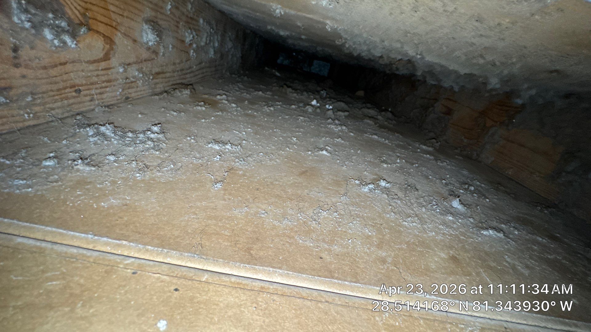 Air Duct Cleaning in Orlando by Hygienic Air, Inc