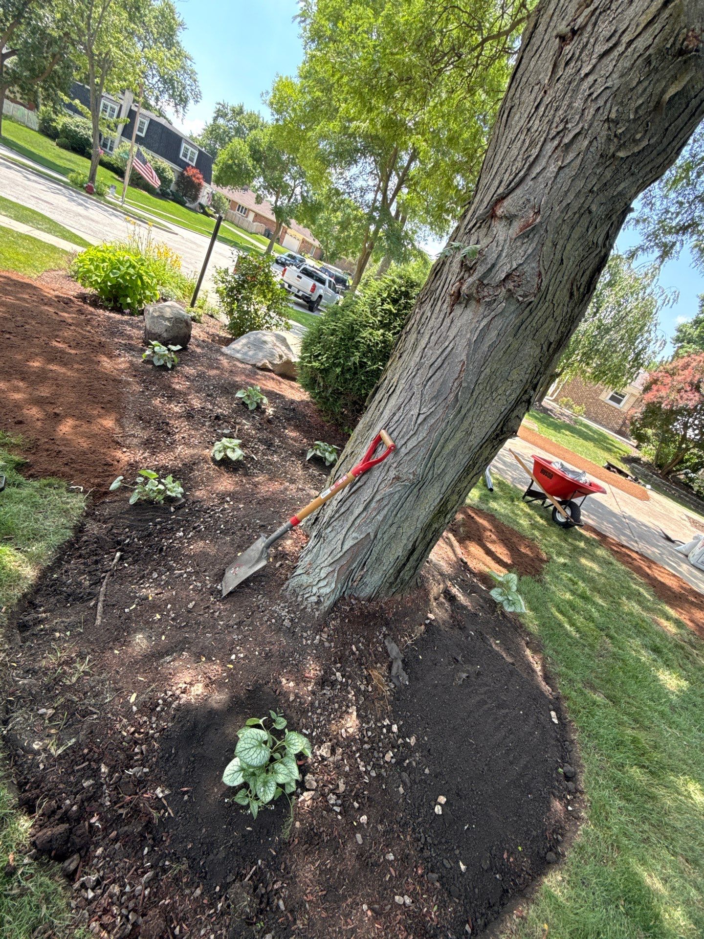 Mike & Diane L. - Arlington Heights, IL by A&N 