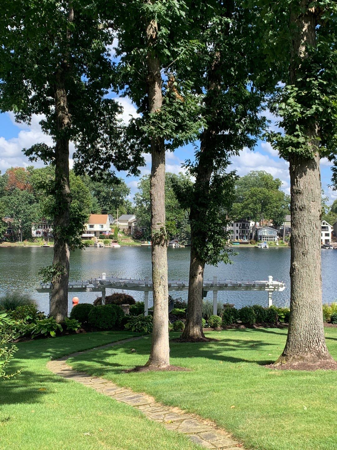 Tree Trimming using Tree Pruing by Mike Jones & Sons Tree Service LLC 