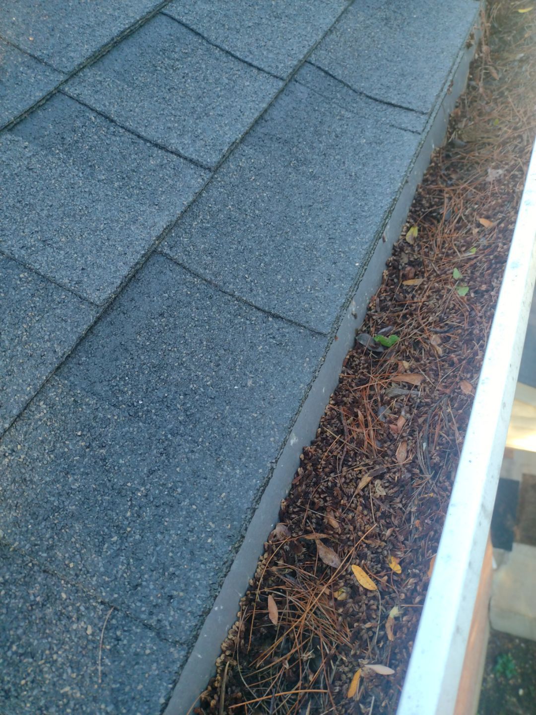 Commercial gutter cleaning Springfield, MI before photo with filled gutters