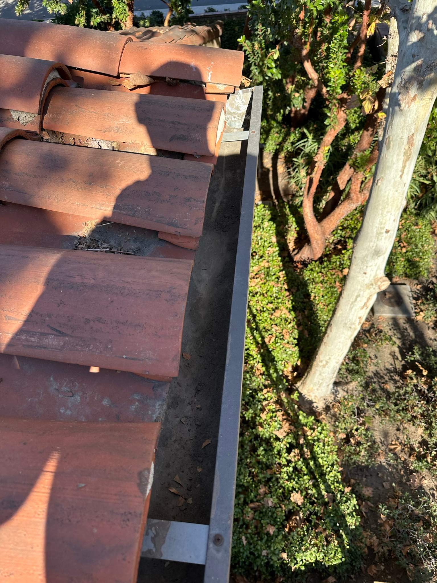 Orange County Gutter Cleaning by Property Cleaning Experts