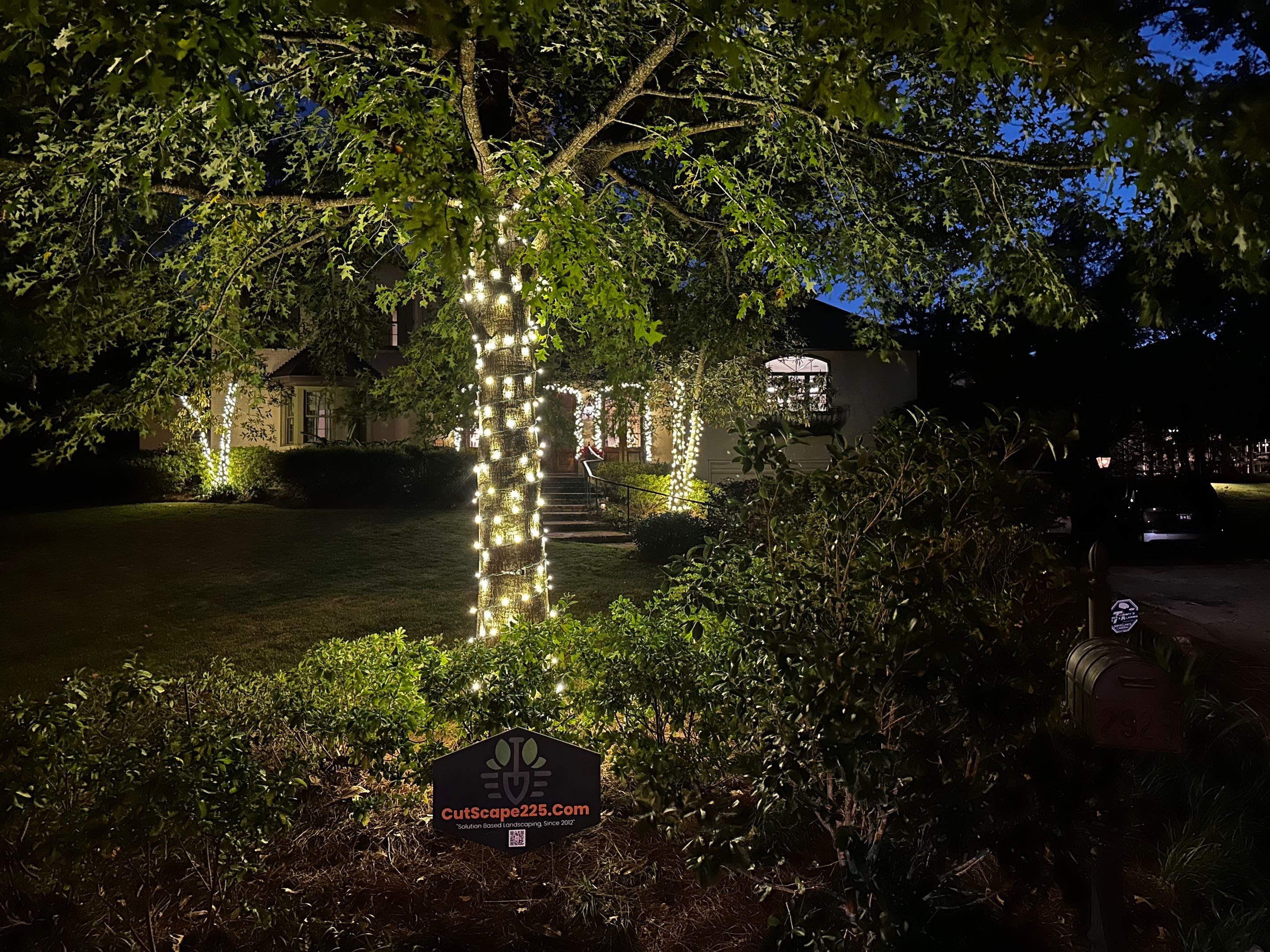 WINTER SERVICES: HOLIDAY LIGHTING using PRE LIT GARLAND & 5MM TREE WRAP STRANDS by CutScape, LLC.