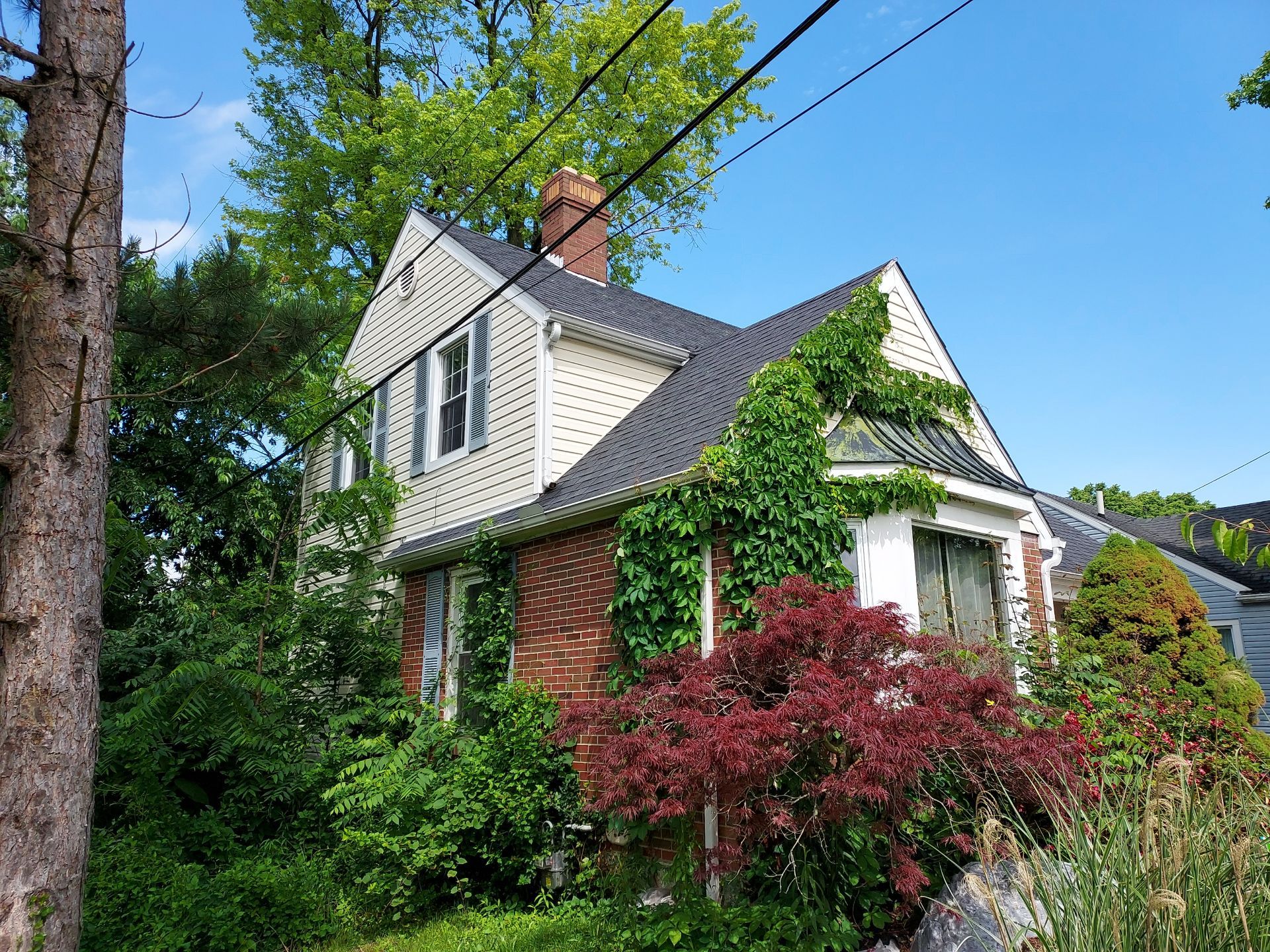 Jonathon Salmons Hail & Tree Damage Report by Constructive Project Management