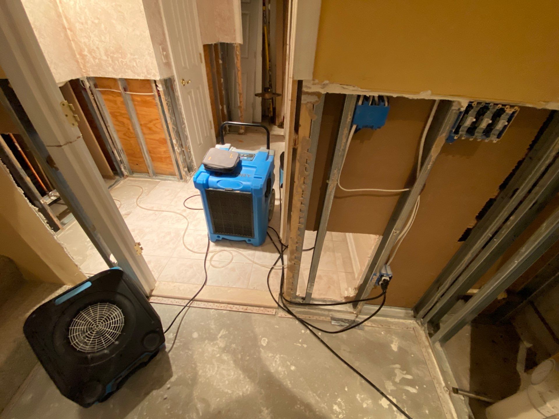 Project in Novi by EzDry Water Mitigation & Property Restoration