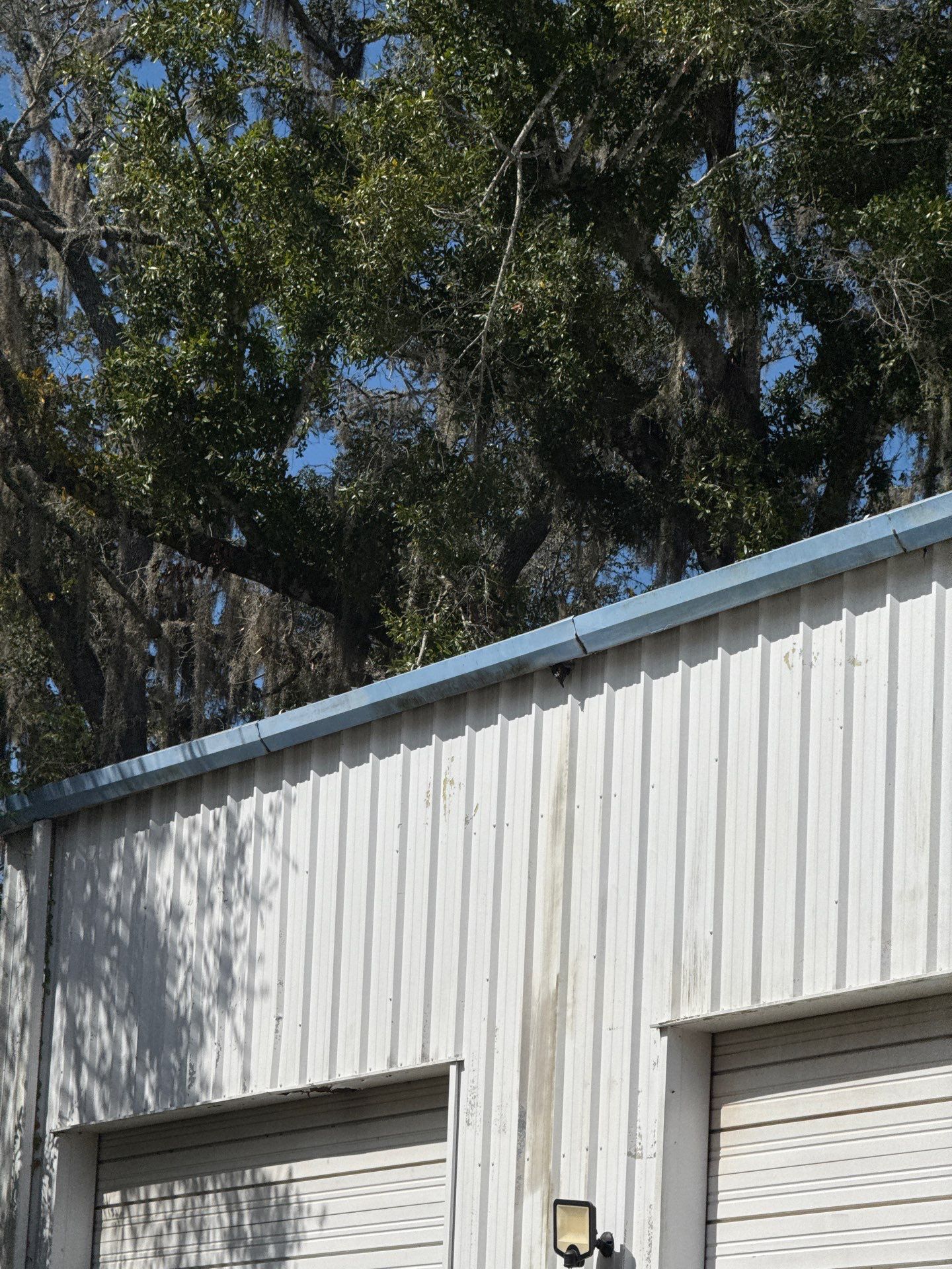 Clean Gutters and Seal Seams in Lakeland FL by Gutter Professors