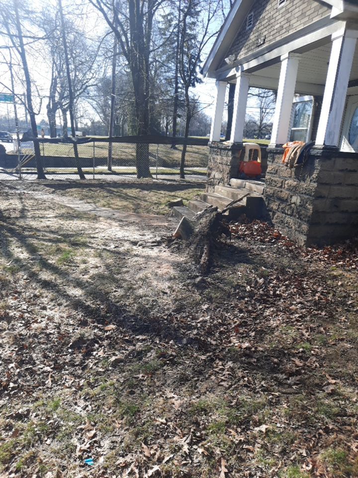 Tree Removal using Tree Removal by Mike Jones & Sons Tree Service LLC 