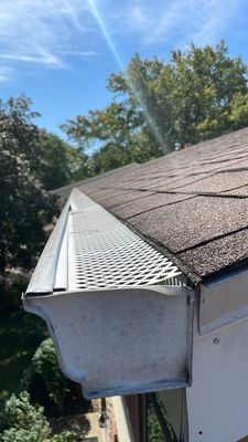 Turtle Shell gutter protection installation in Naperville, IL 60540, photograph 23