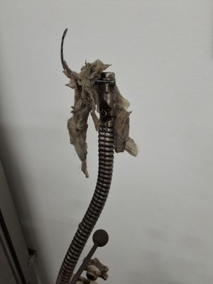 Commercial Main Line Backup