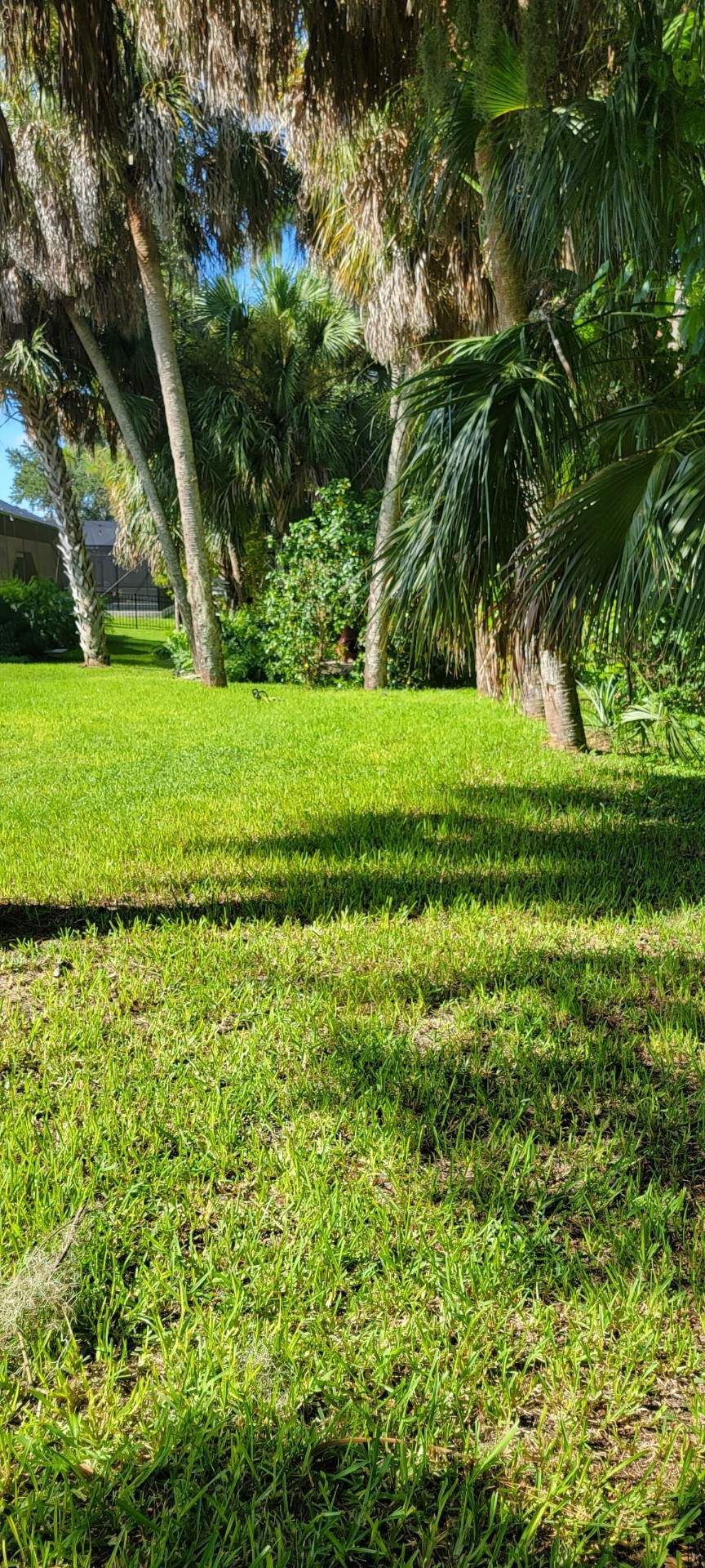Palmetto, FL 4ft. Tall 3-Rail Aluminum  by Asap fence and gates, LLC