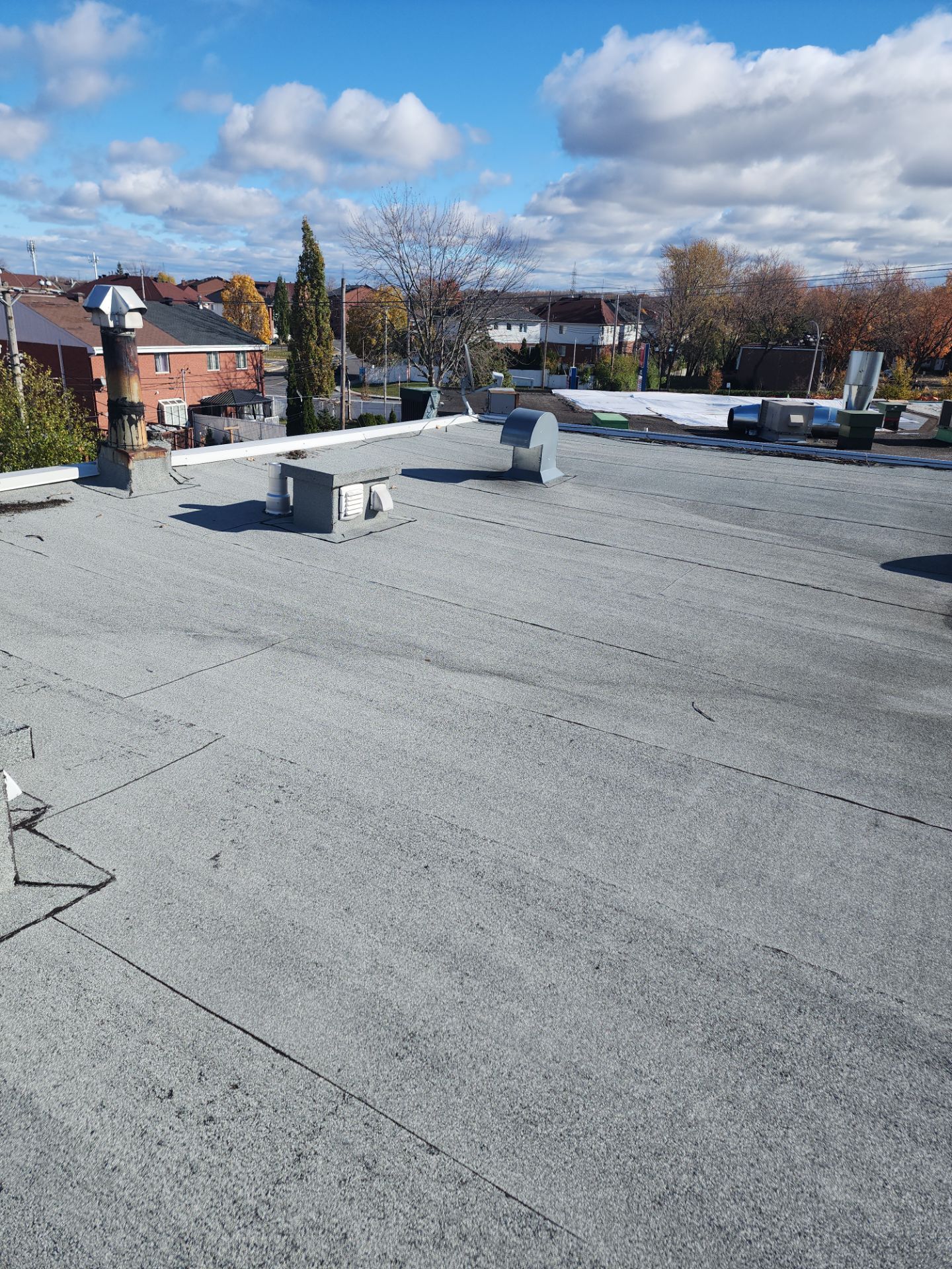 Flat roof Installation  by Eco-Nature Construction Inc.