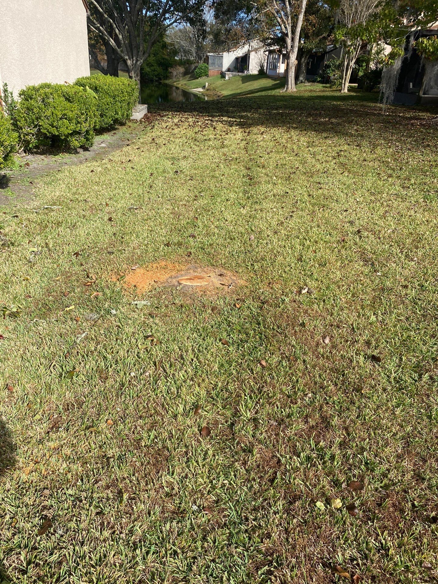 Residential | Tree Removal & Trimming by ProGreen Services