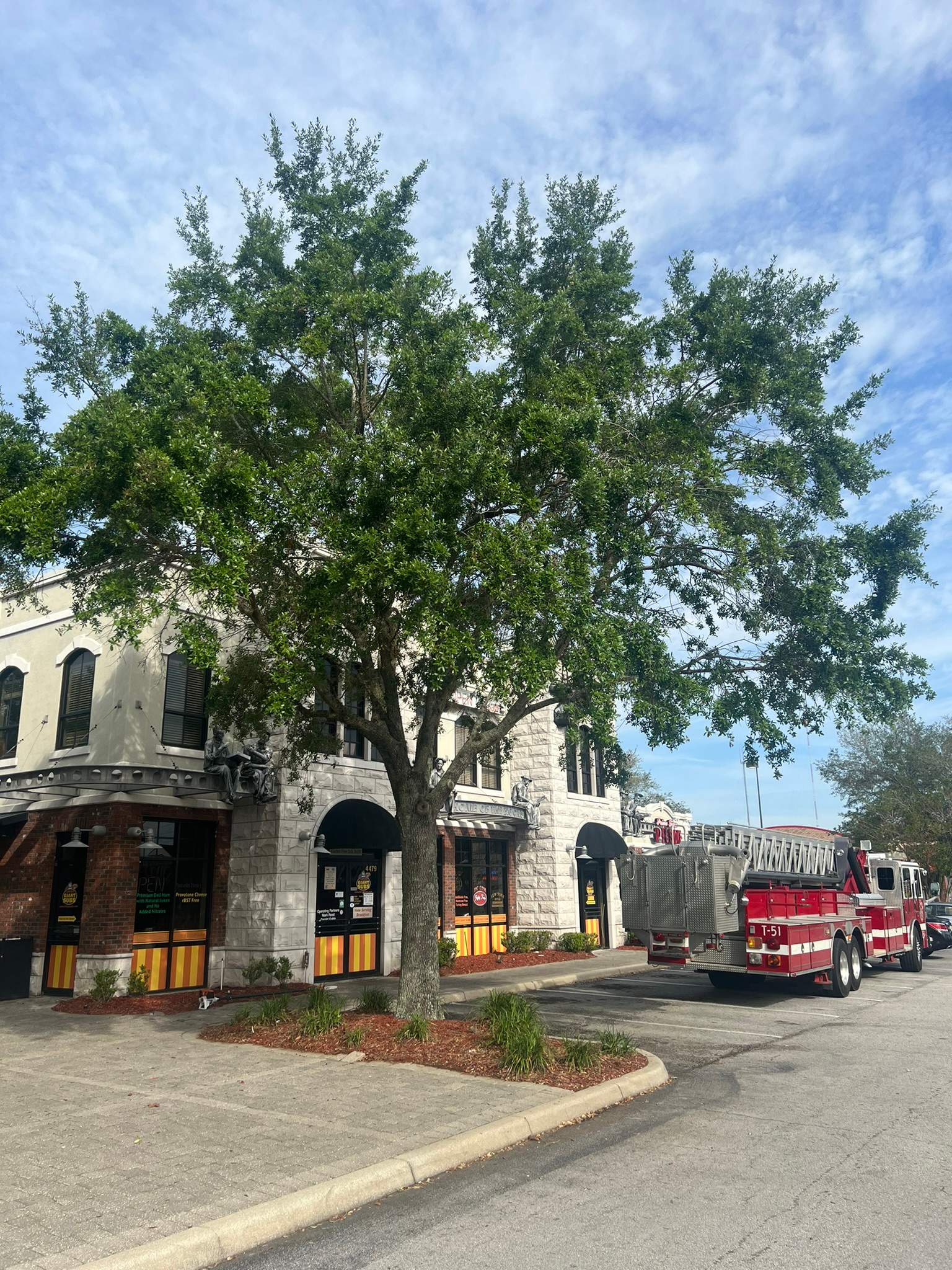 Tree Trimming | Larry's Giant Subs by ProGreen Services
