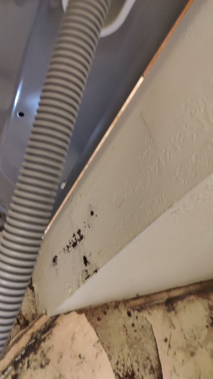 Water Damage  by Accountable Home Services