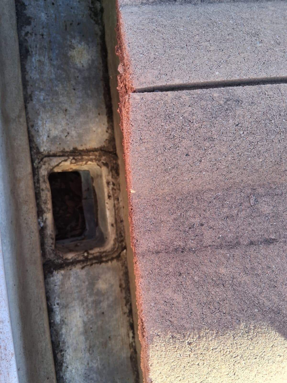 Gutter Cleaning Service in Sarasota FL by Gutter Professors