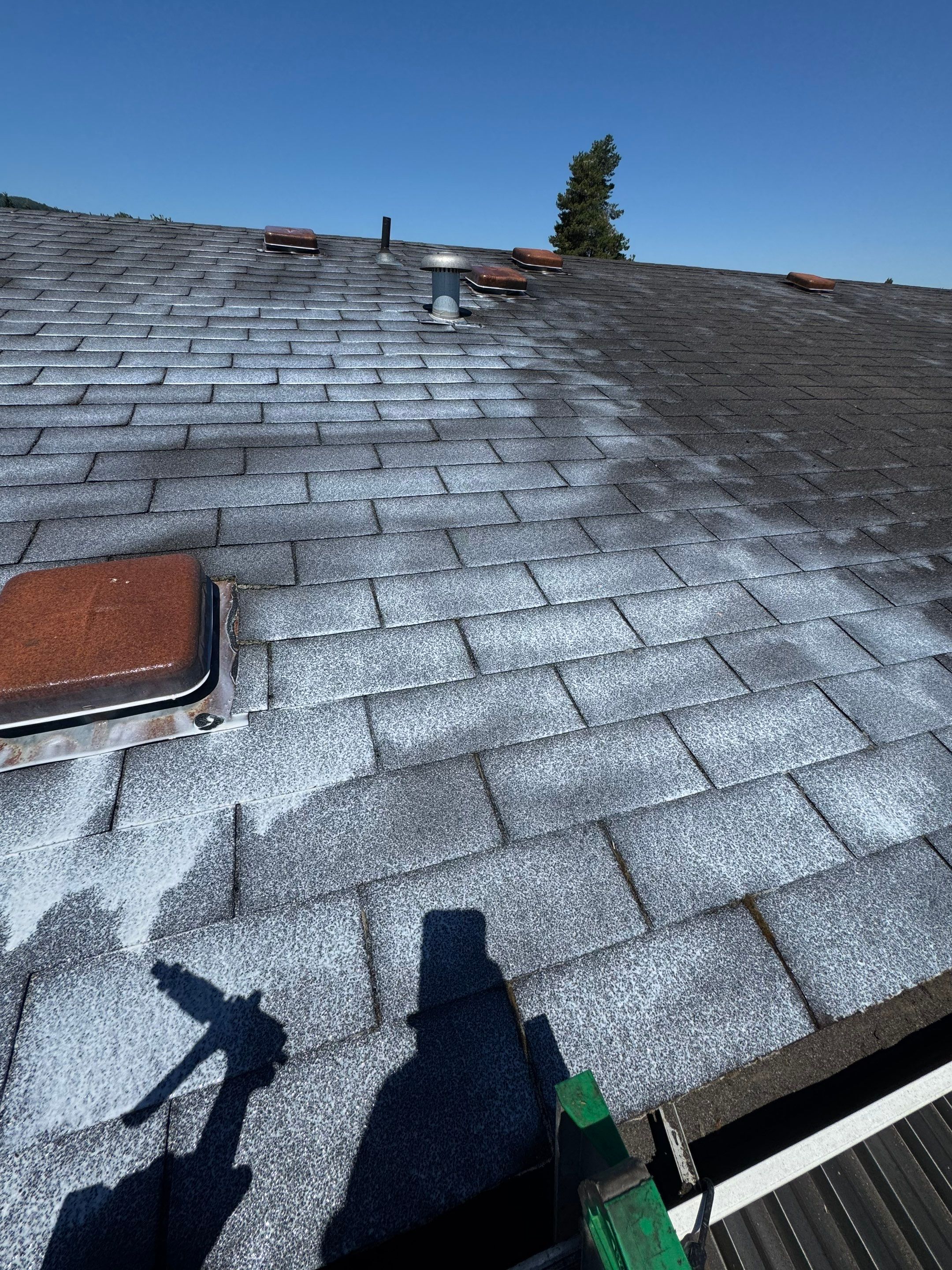 Project in Cottage Grove by Roof Maxx of Grants Pass