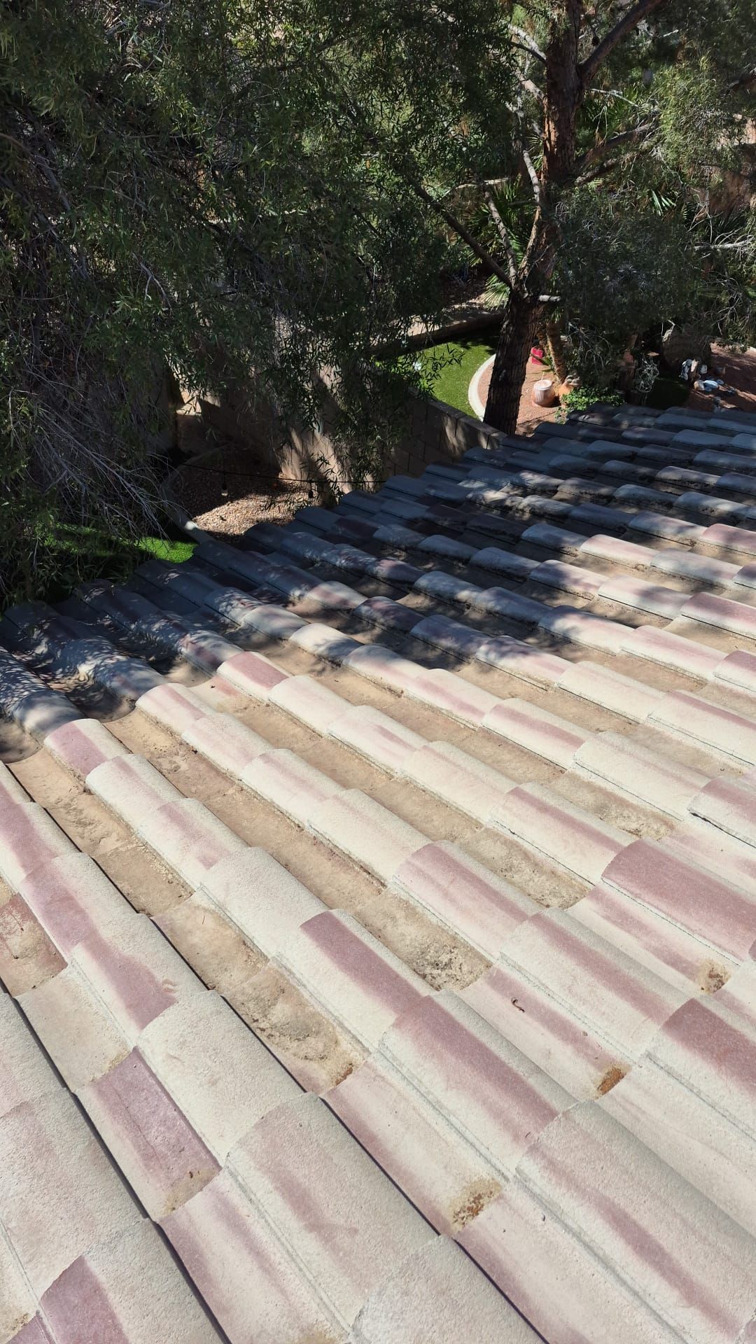 Single story netting. by Solar Honest Cleaning 