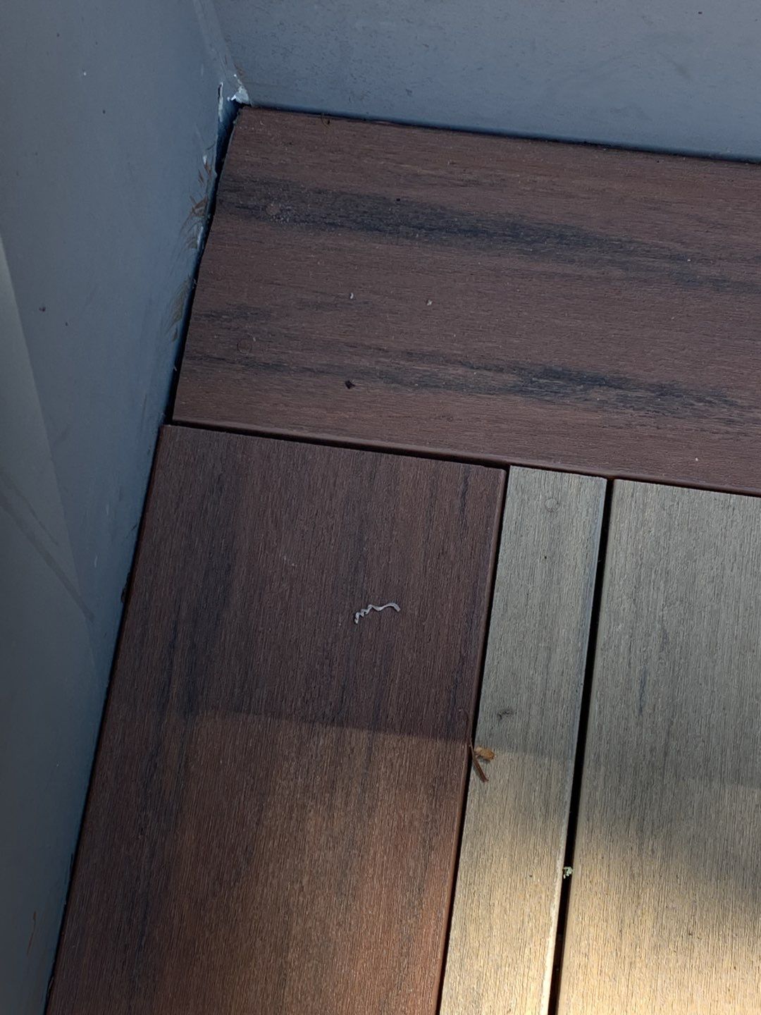 North Admiral Rooftop by Alki deck builders 