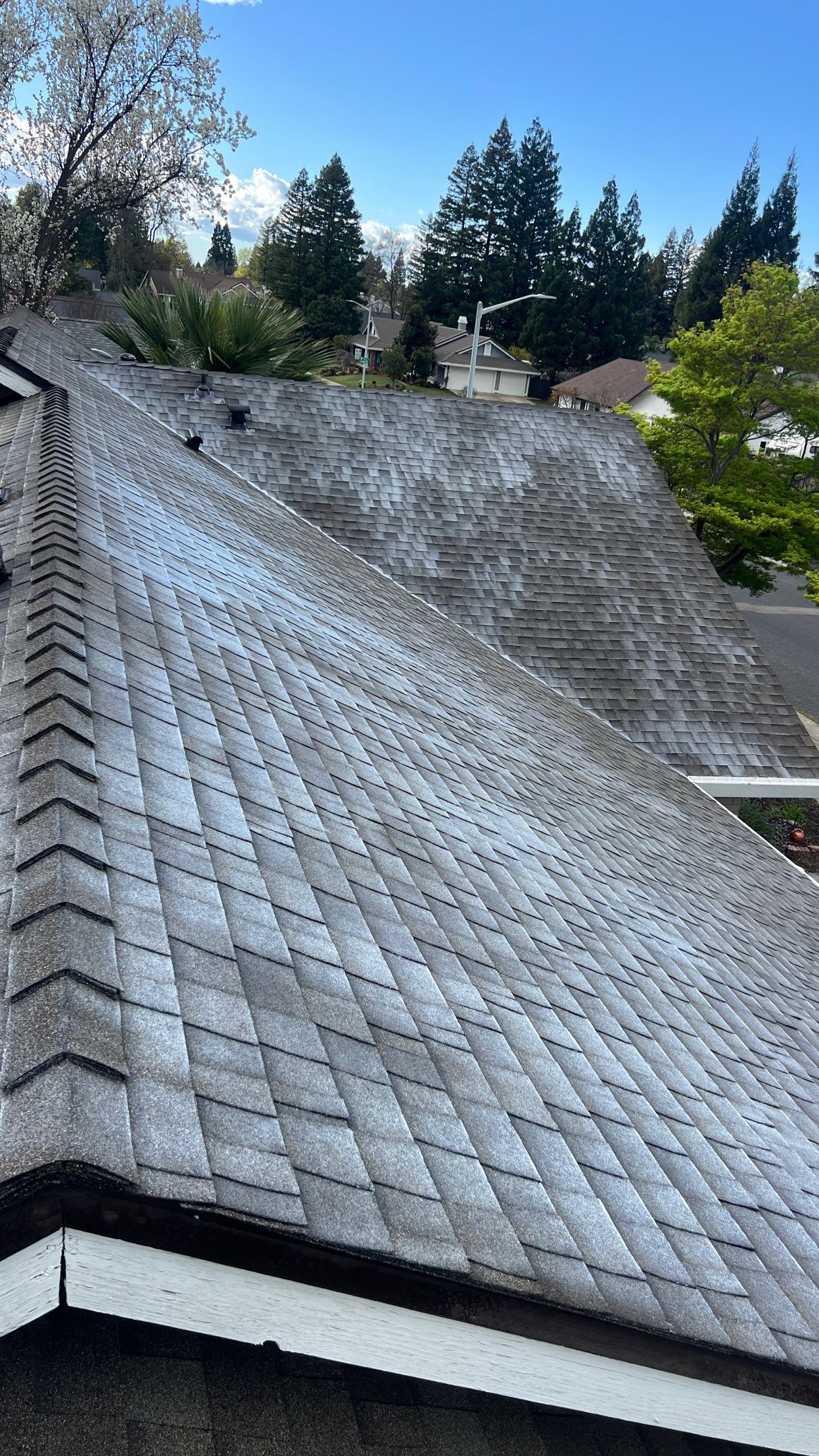 Roof Maxx Shingle Rejuvenation by Roof Maxx of Folsom