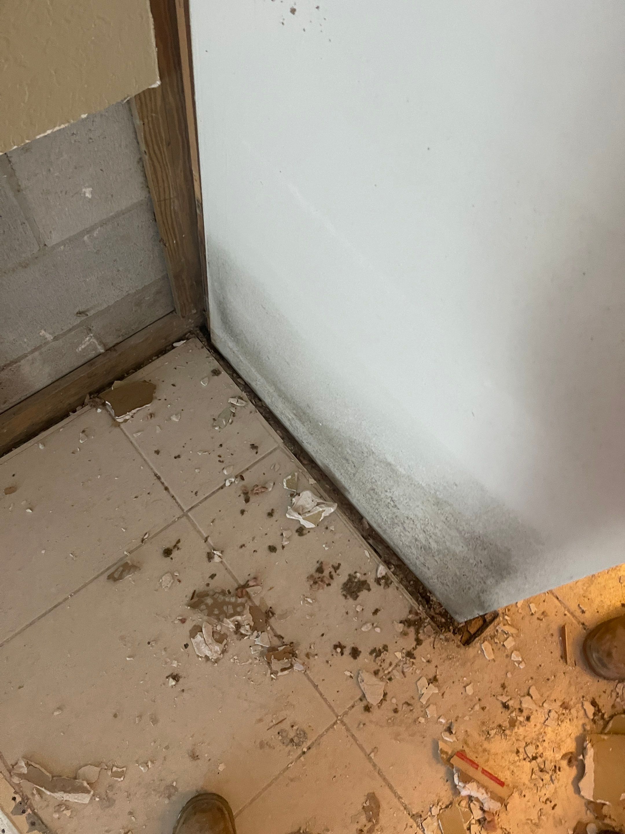 Mold remediation and rebuild of kitchen and living areas by Bay Coast Restoration 