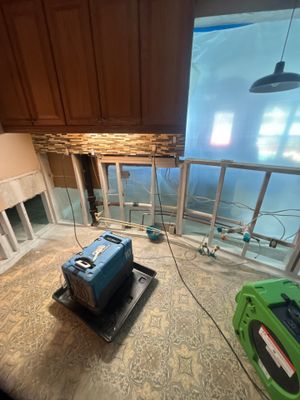 Black Mold Removal In Venice Florida