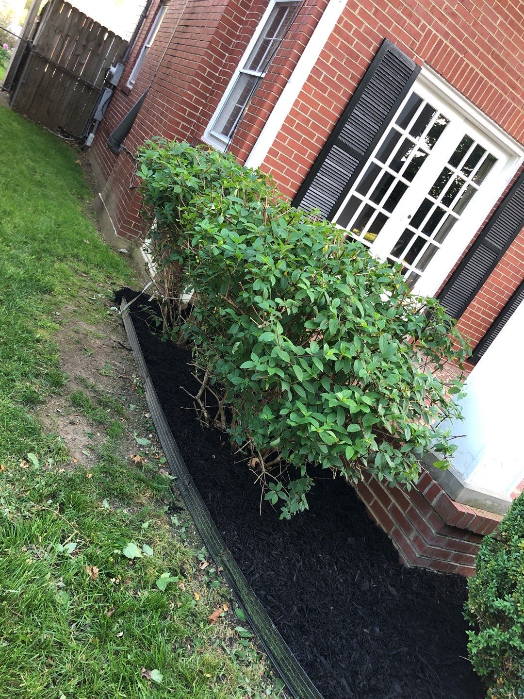 Liriope grasses, mulch and stone pavers by GrassBusters, Inc.
