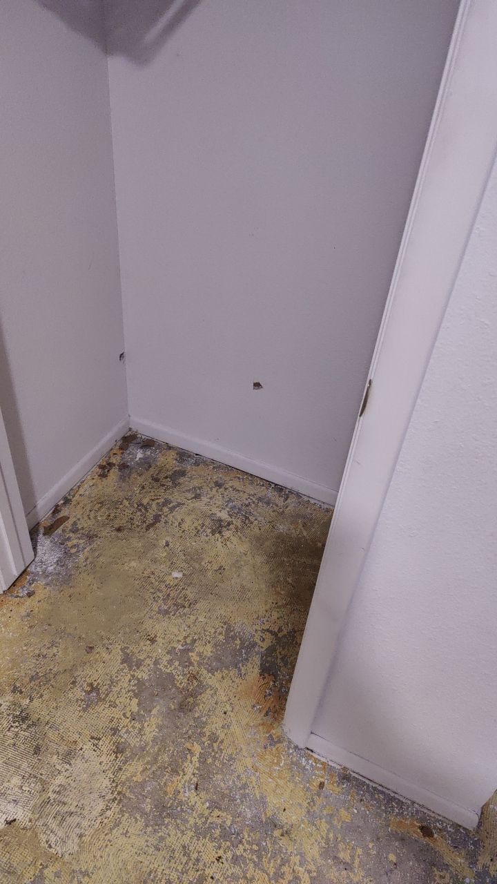 Water Damage by Accountable Home Services