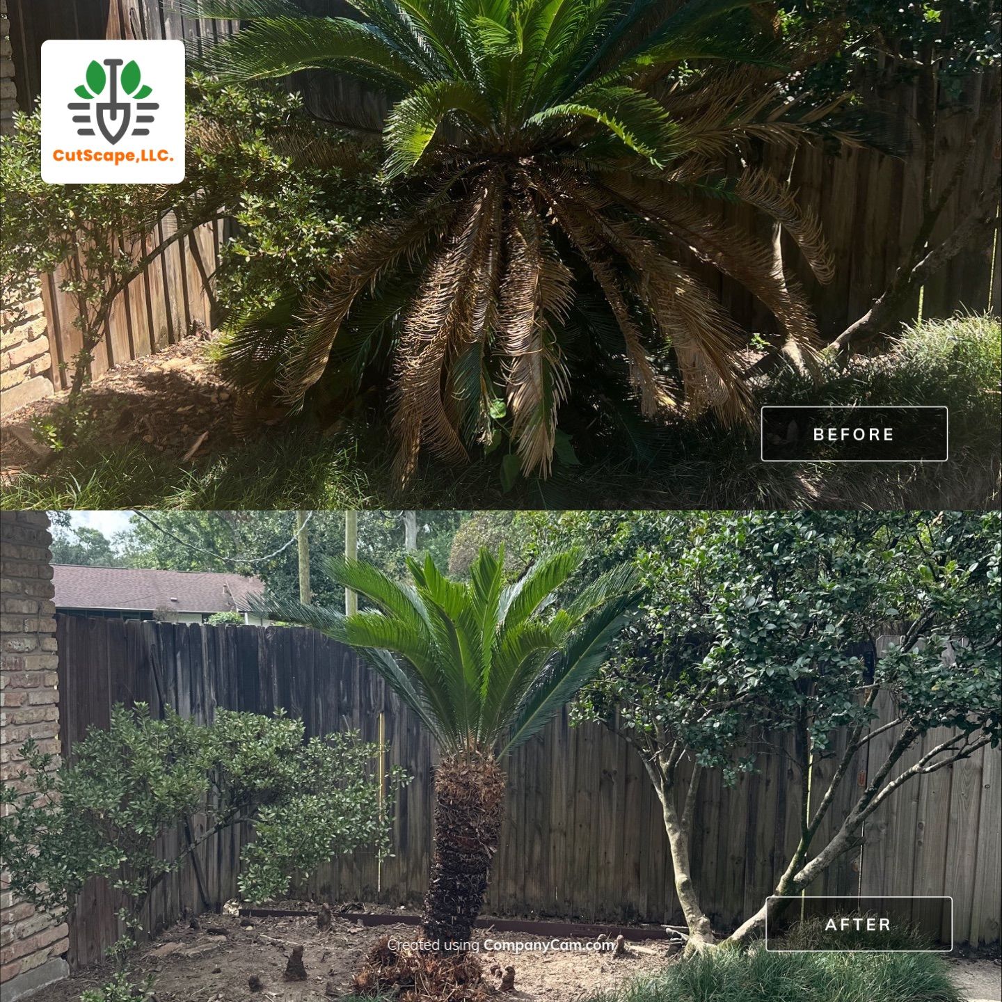 LANDSCAPE SERVICES: HERBICIDE / CLEAN OUT / TRIM / BRUSH DEBRIS REMOVAL / PROPERTY CLEAN UP by CutScape, LLC.