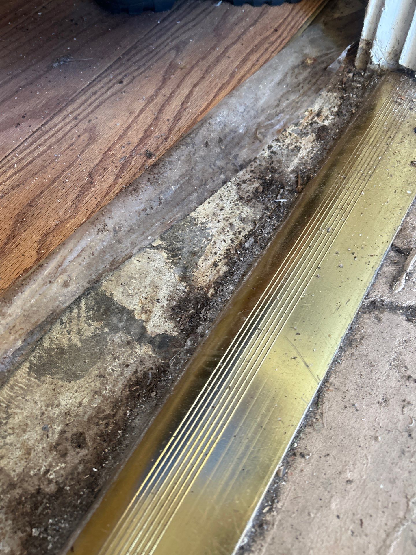 Commercial Mold Damage In Sarasota by Ampm Restoration Services