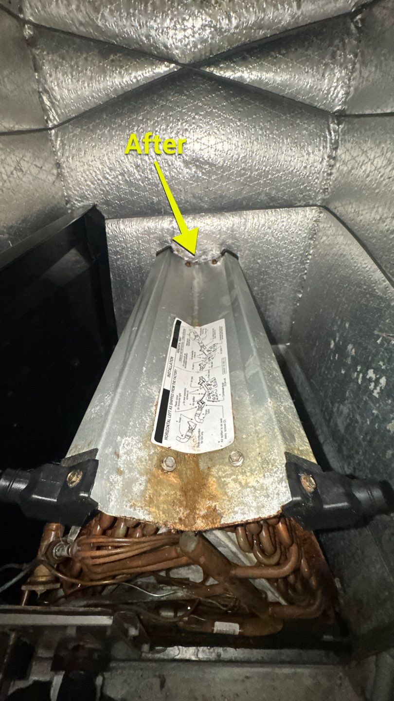 Air Duct and Dryer Vent Cleaning in Clermont by Hygienic Air, Inc