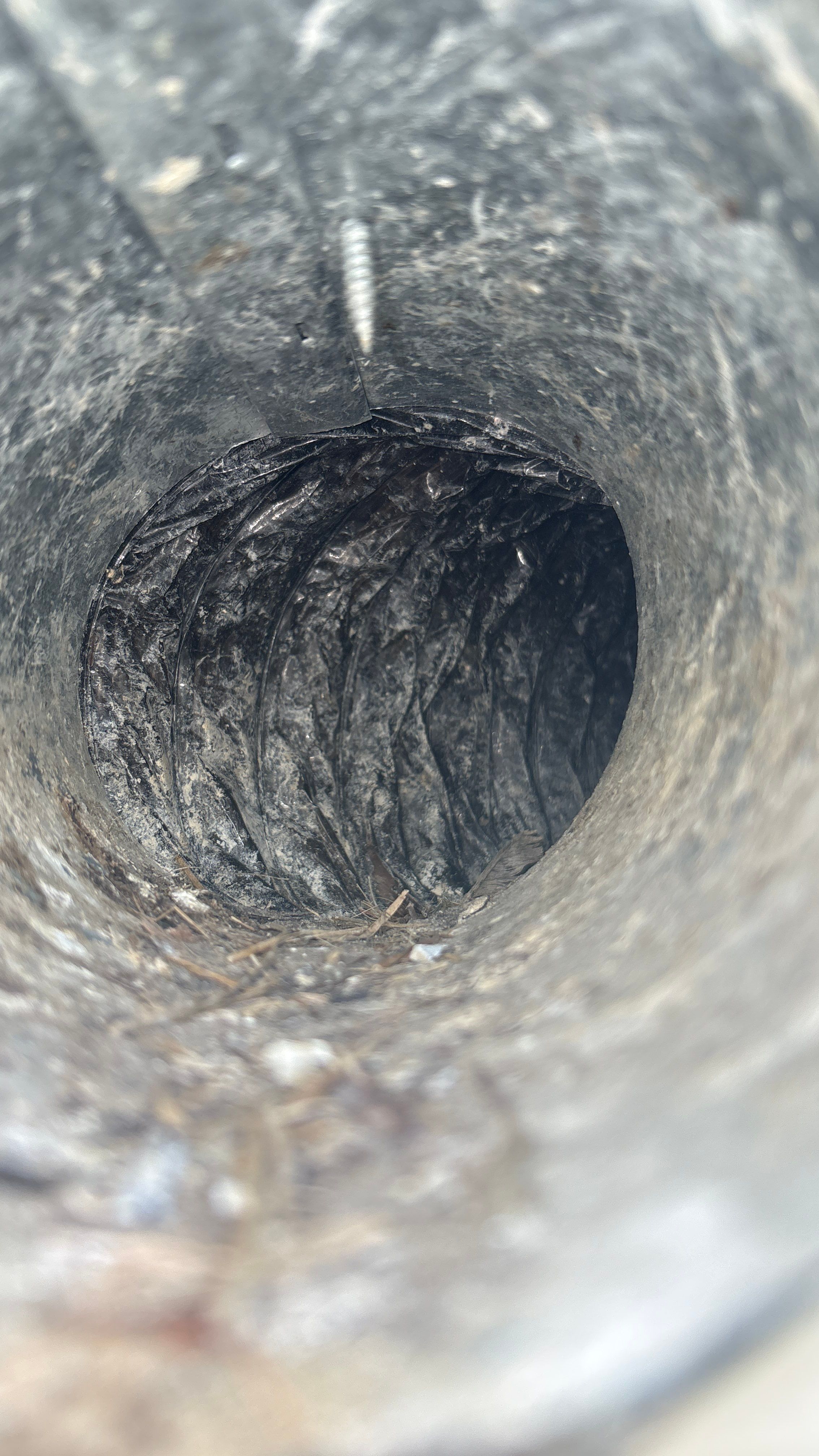 Dryer Vent Cleaning & Vent Replacement by Superior Air Duct Cleaning