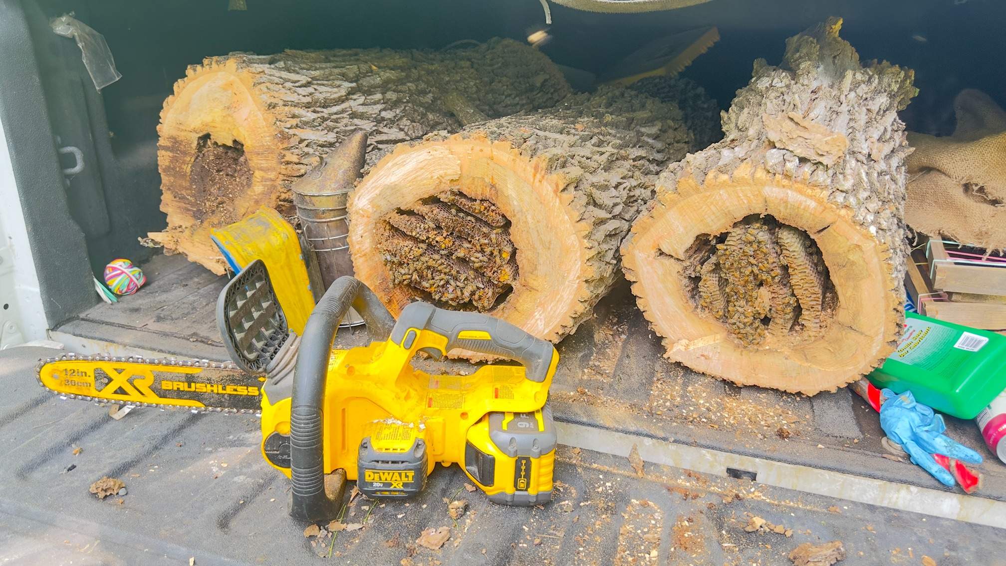 Two Trees One Yard by Rockwall Honey Bee Company