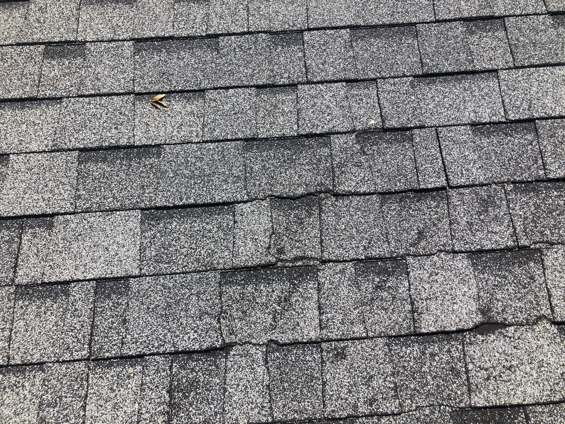 Pewter Gray Shingles by Reimagine Roofing