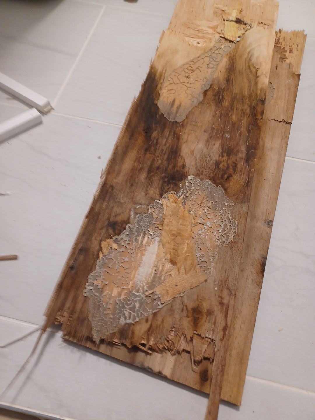 Project in Troy by EzDry Water Mitigation & Property Restoration