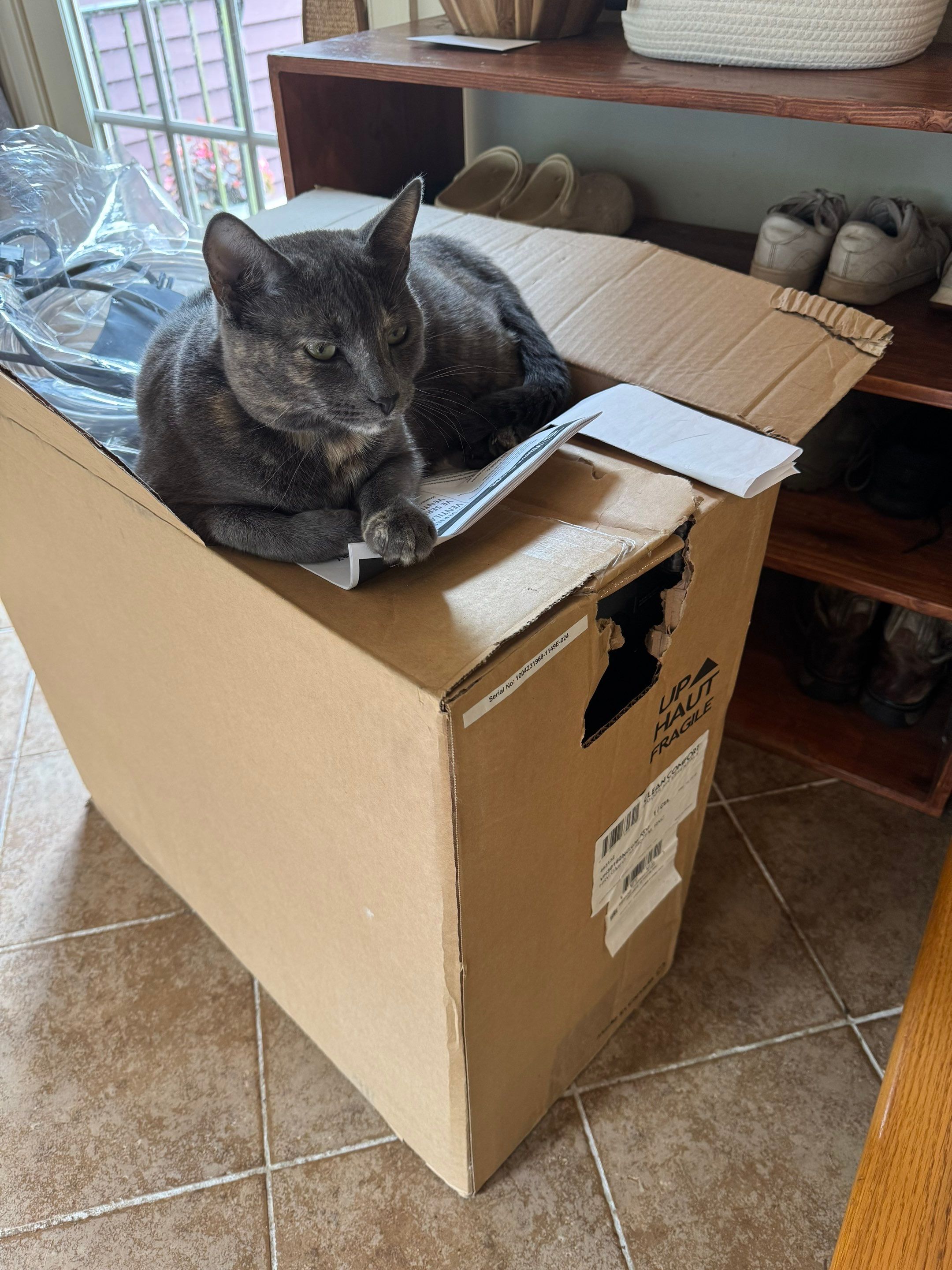 Water Filter Installation by Stake Plumbing and Heating