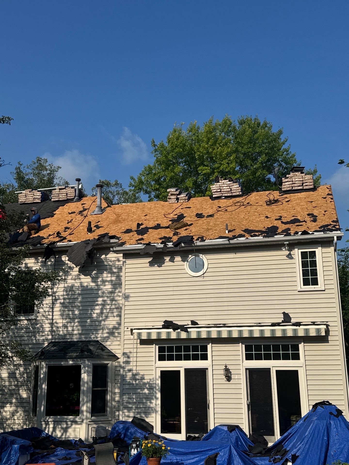 New Shingle Roof & New Gutters and downspouts with covers by Alpha Design Services