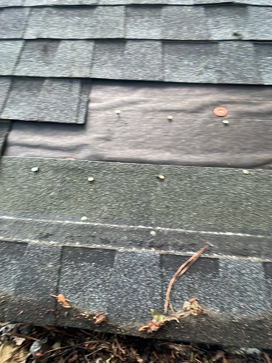 🌳 Tree Limb Hole Repair by Georgia Roof Advisors