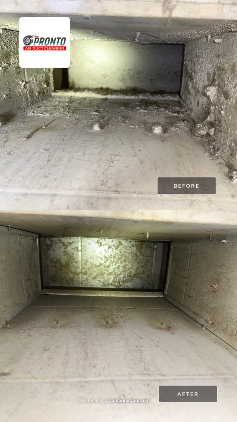 Air Duct Cleaning w/Duct Sanitizing by Pronto Air Duct Cleaning