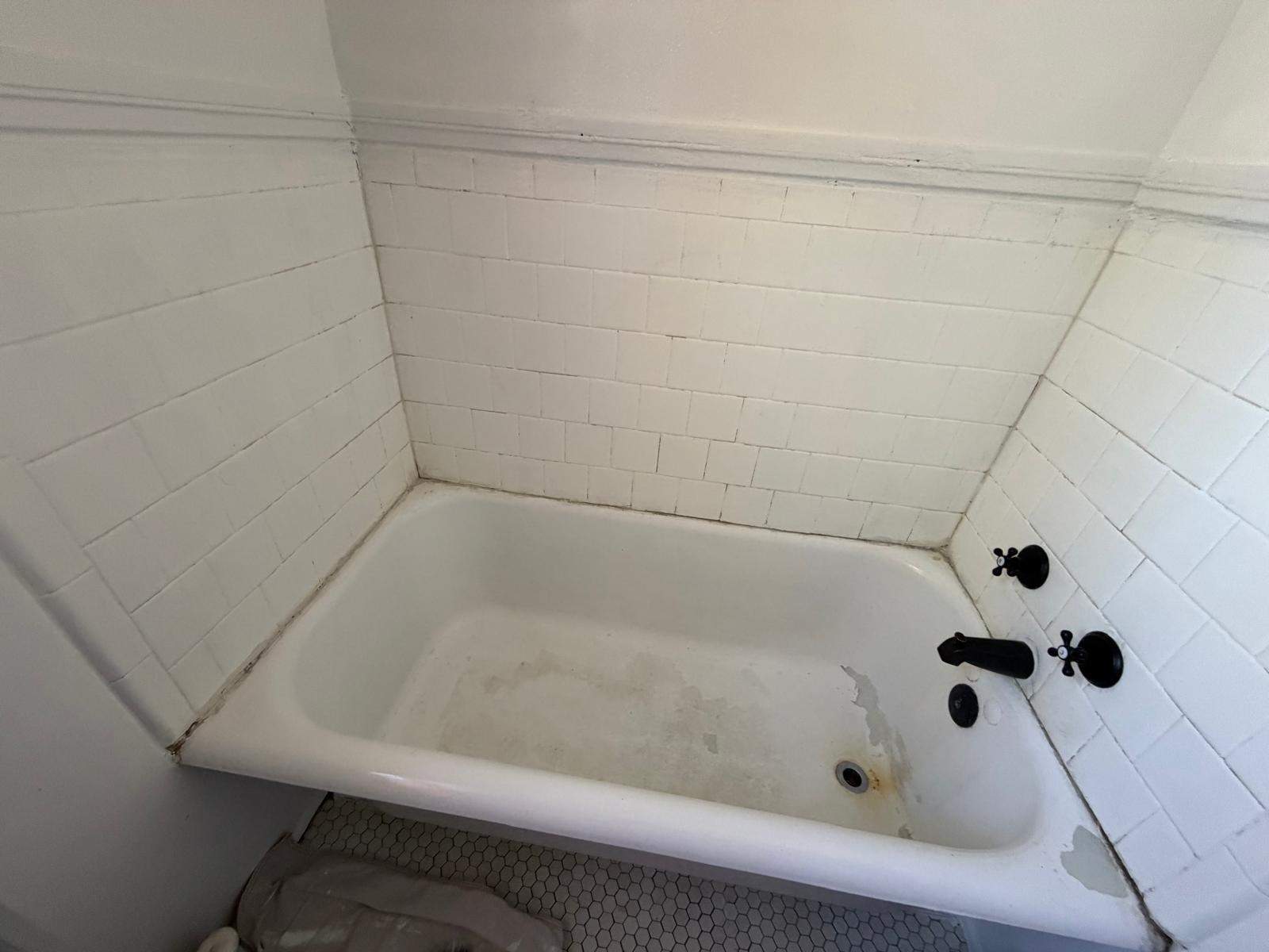 Bathtub renovation  by Alpha and Omega Pro Services