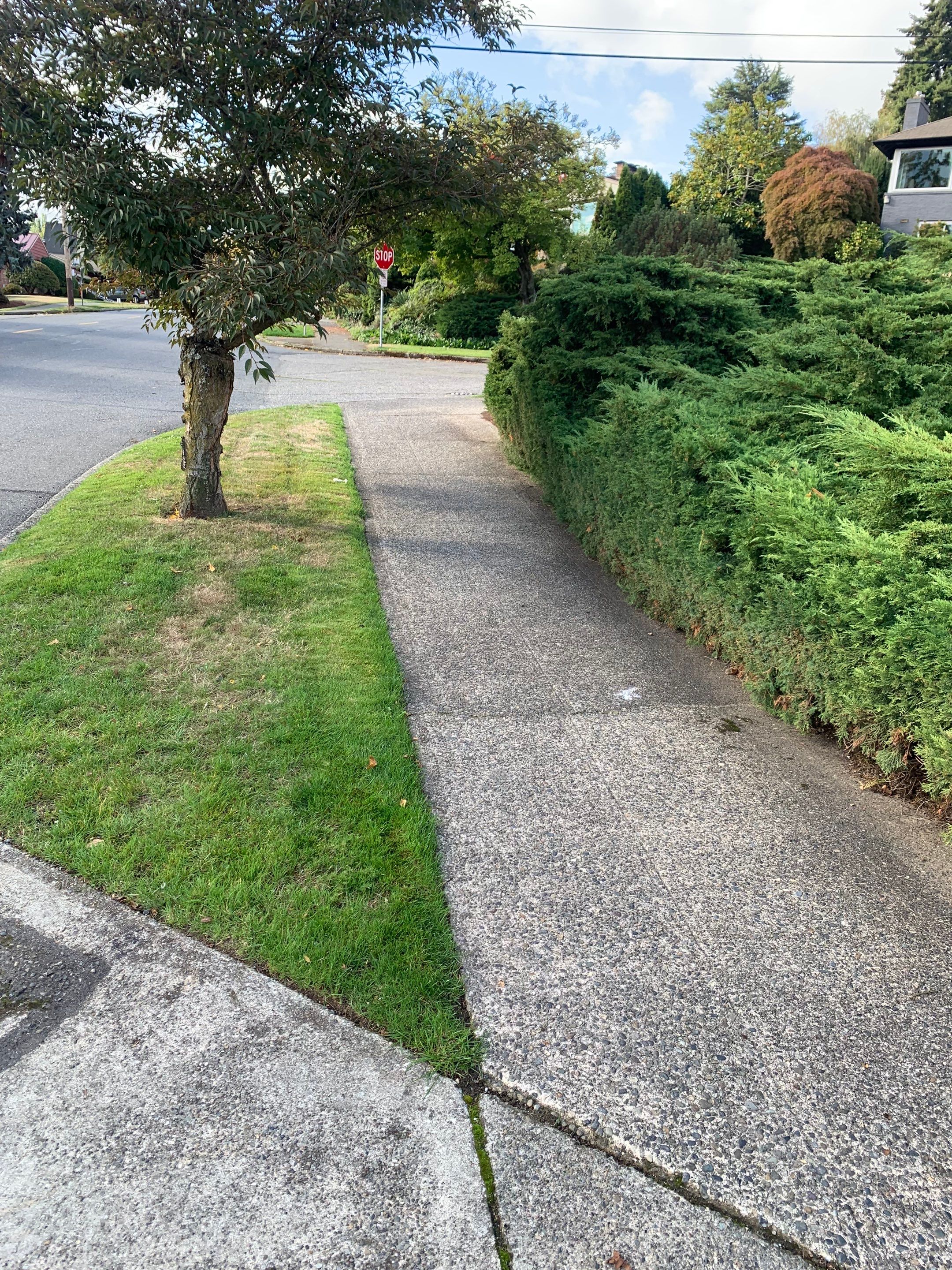Concrete Driveway Repair | Seattle  by Jireh Asphalt & Concrete Inc 