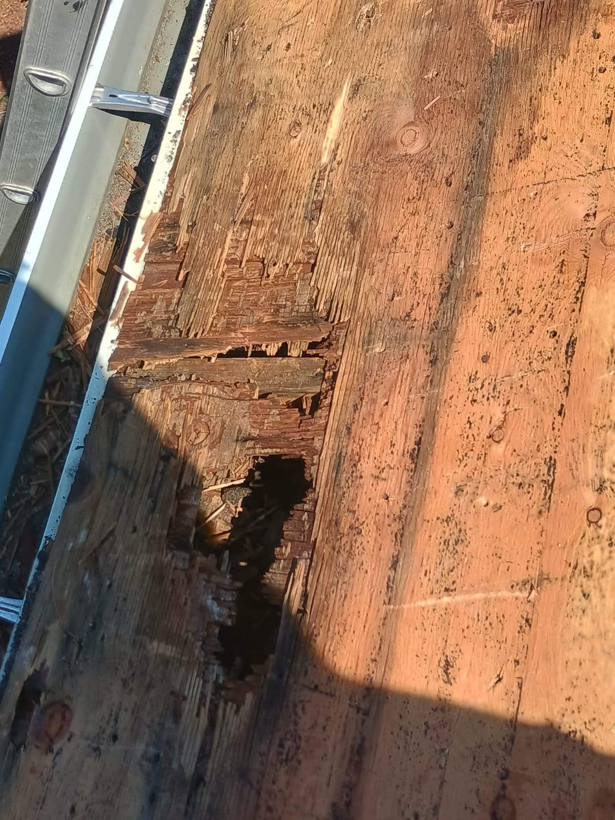 Project in Ashland by JOHNNYS PRO