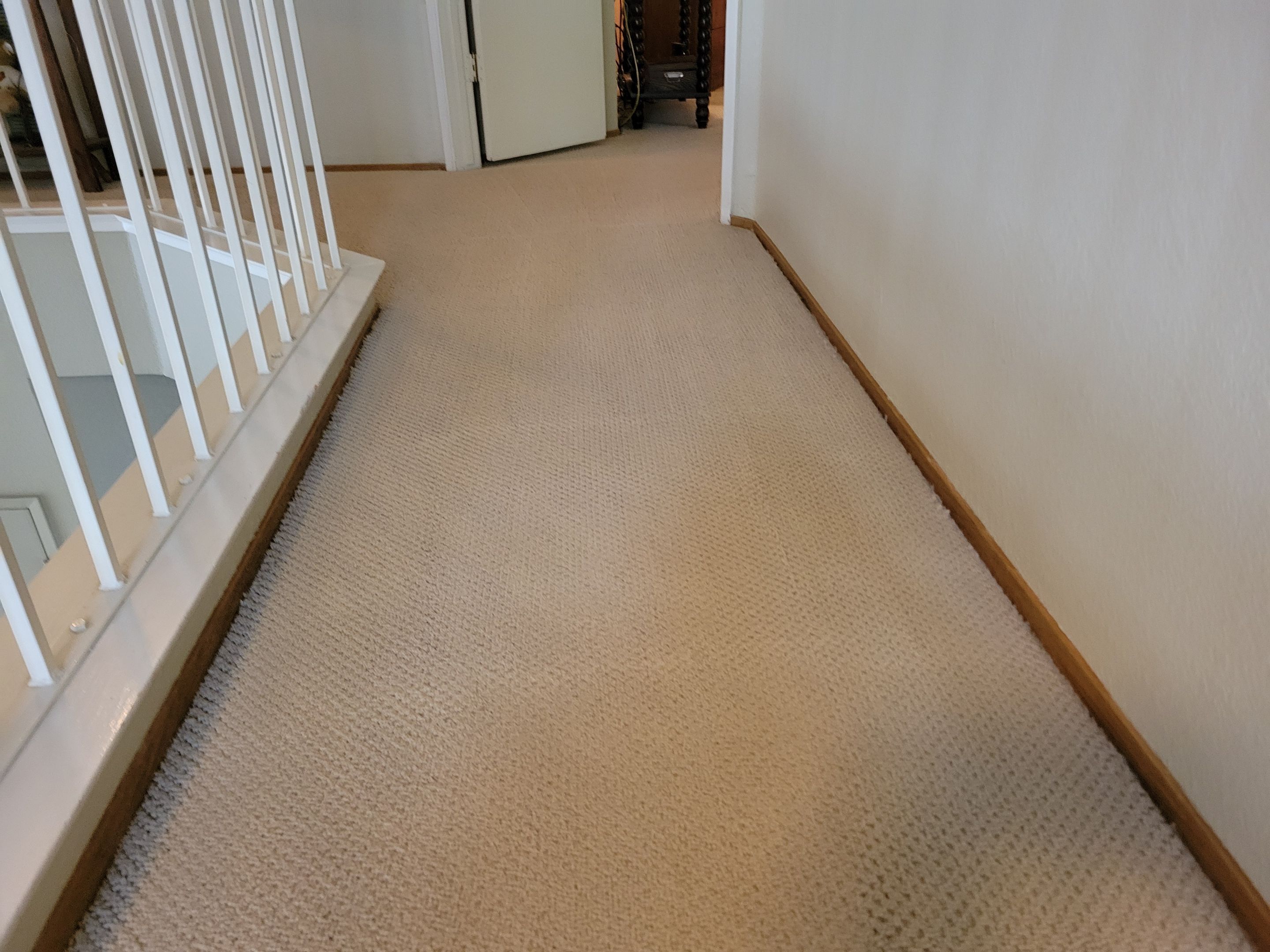 Condo, Residential Carpet Clean by Ardent Carpet Restore LLC