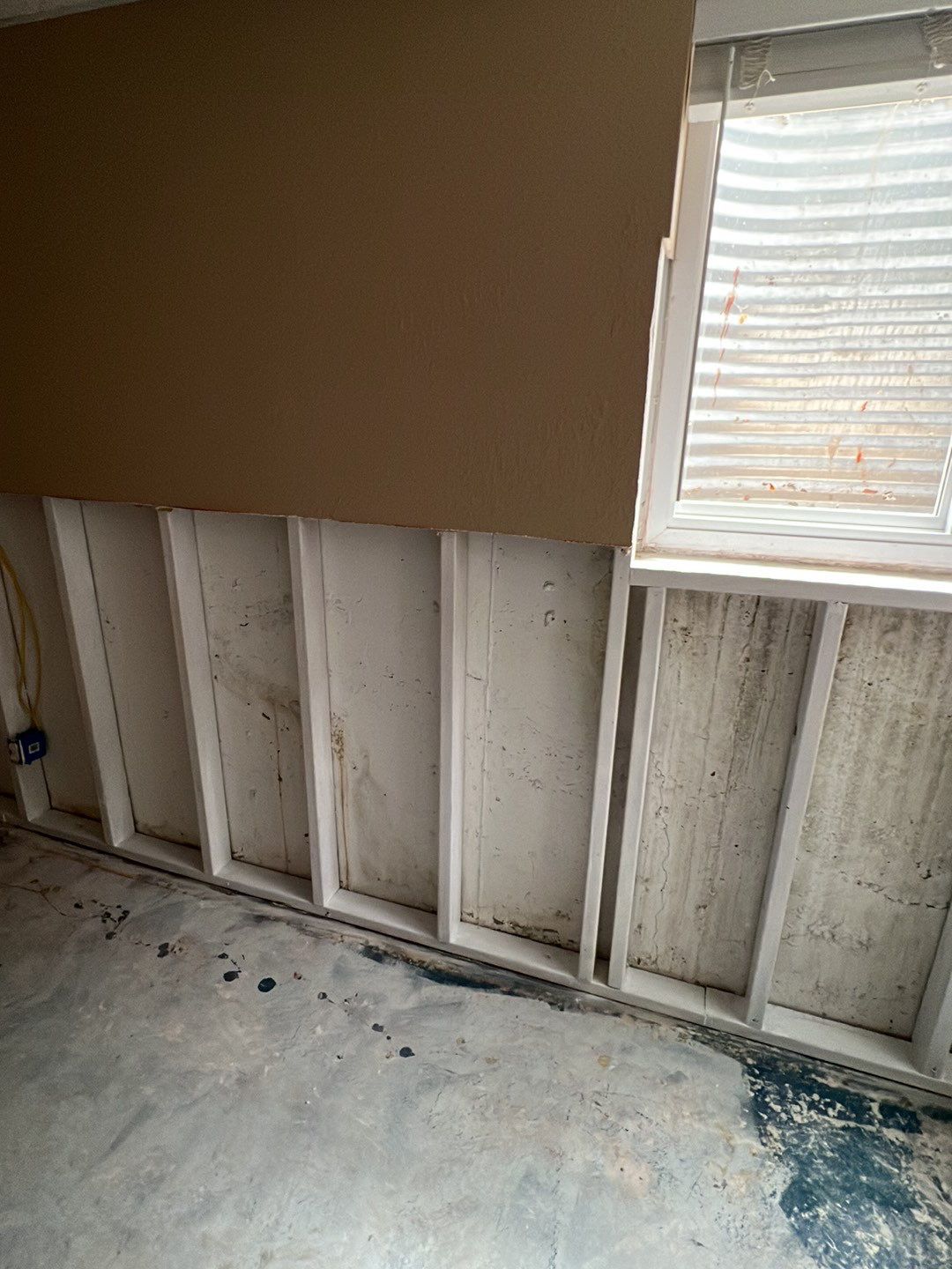 Mold Damage by Accountable Home Services