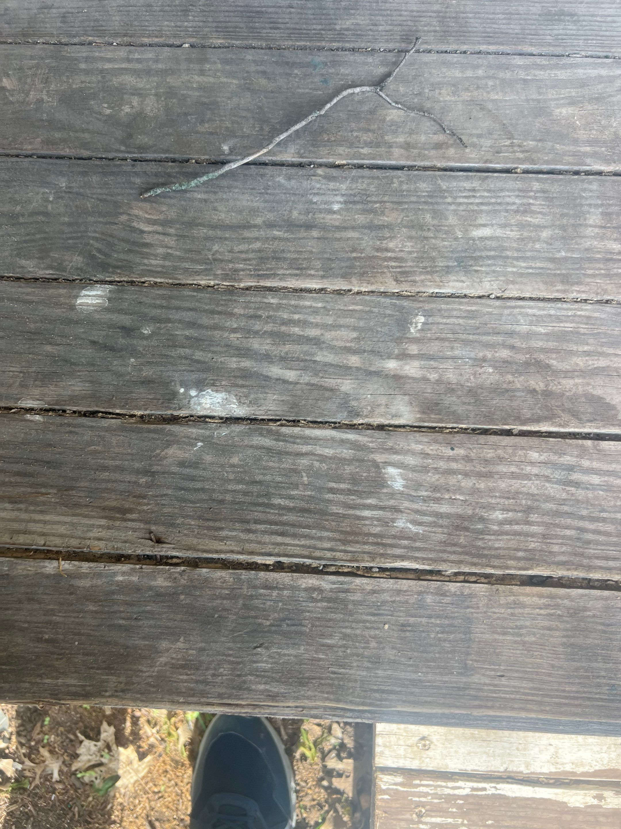 Exterior painting & Deck staining in Frisco by Nomad Painting