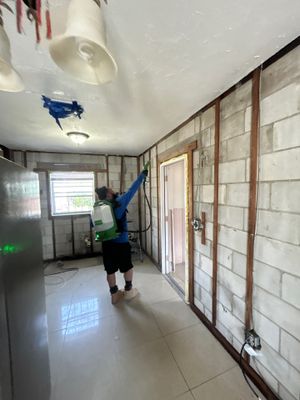 Tampa Mold Removal