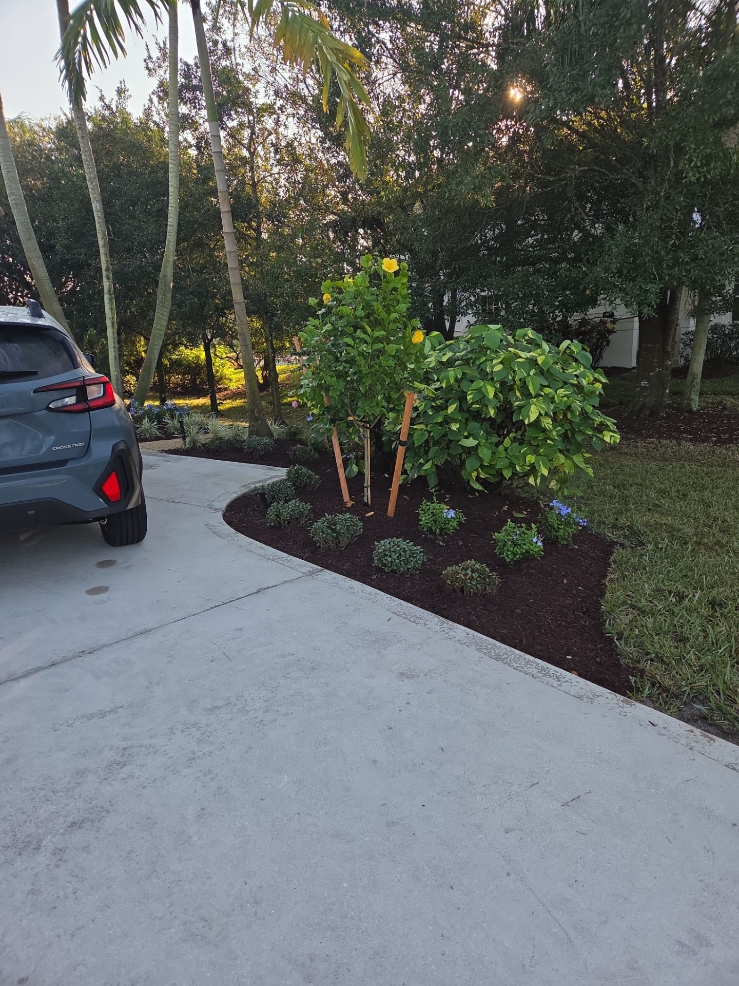 🌴 Landscape Removal and Install in Palm City by Alpha Zeta Enterprises Inc