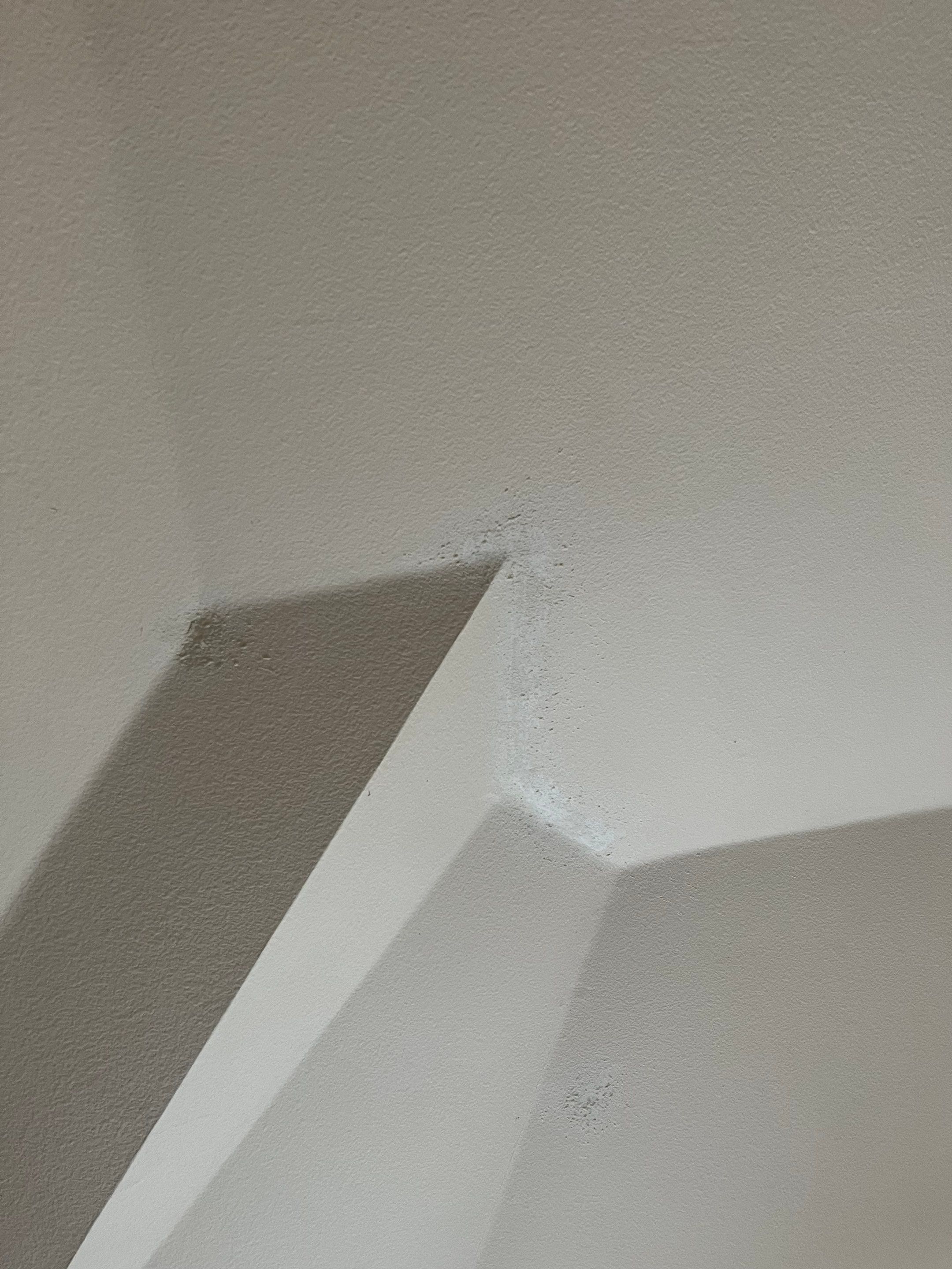 Project in Allen  by Zeus Exteriors