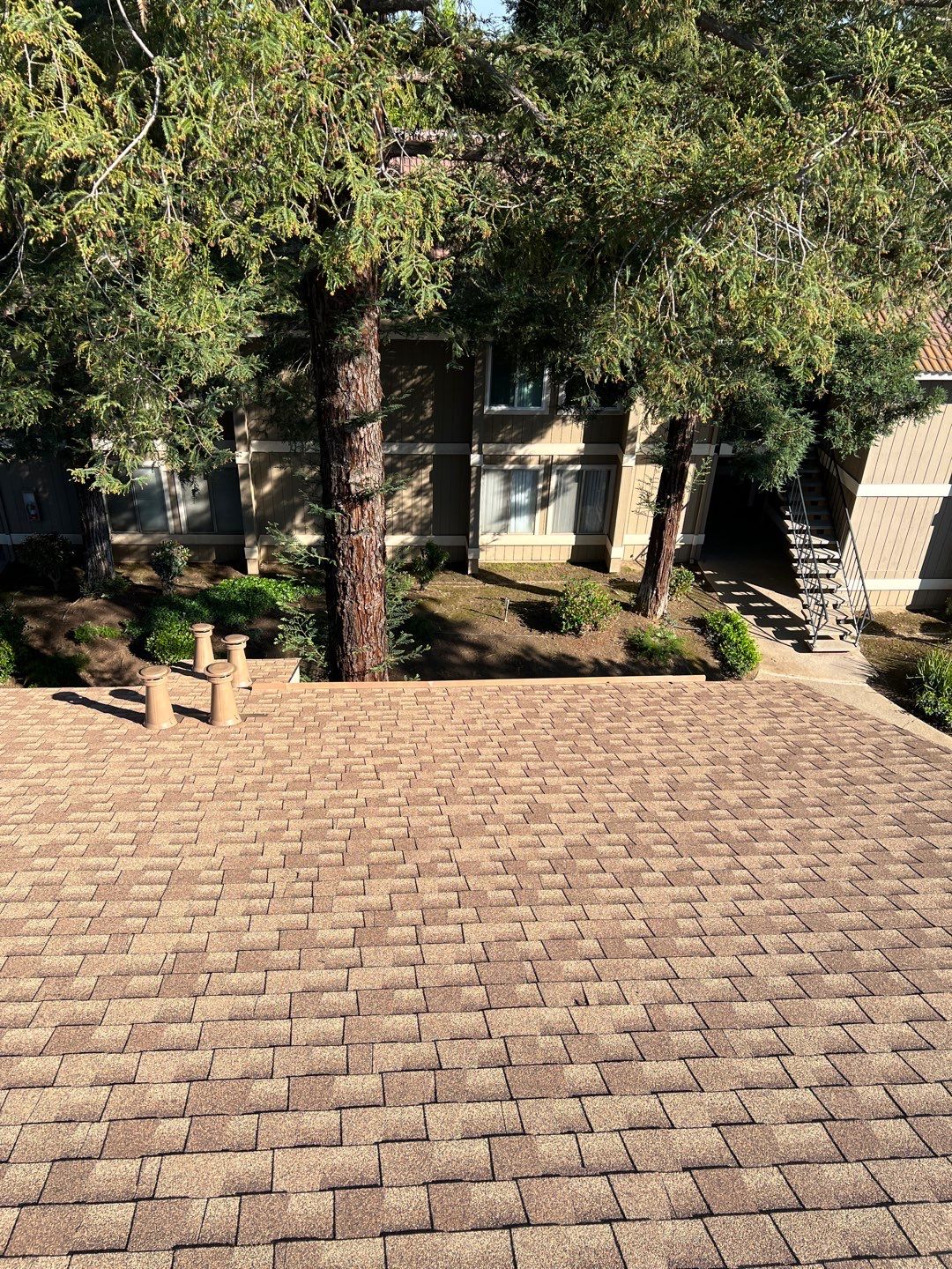 Removed tile from roof and replaced with shingles by Straight Edge Roofing Inc
