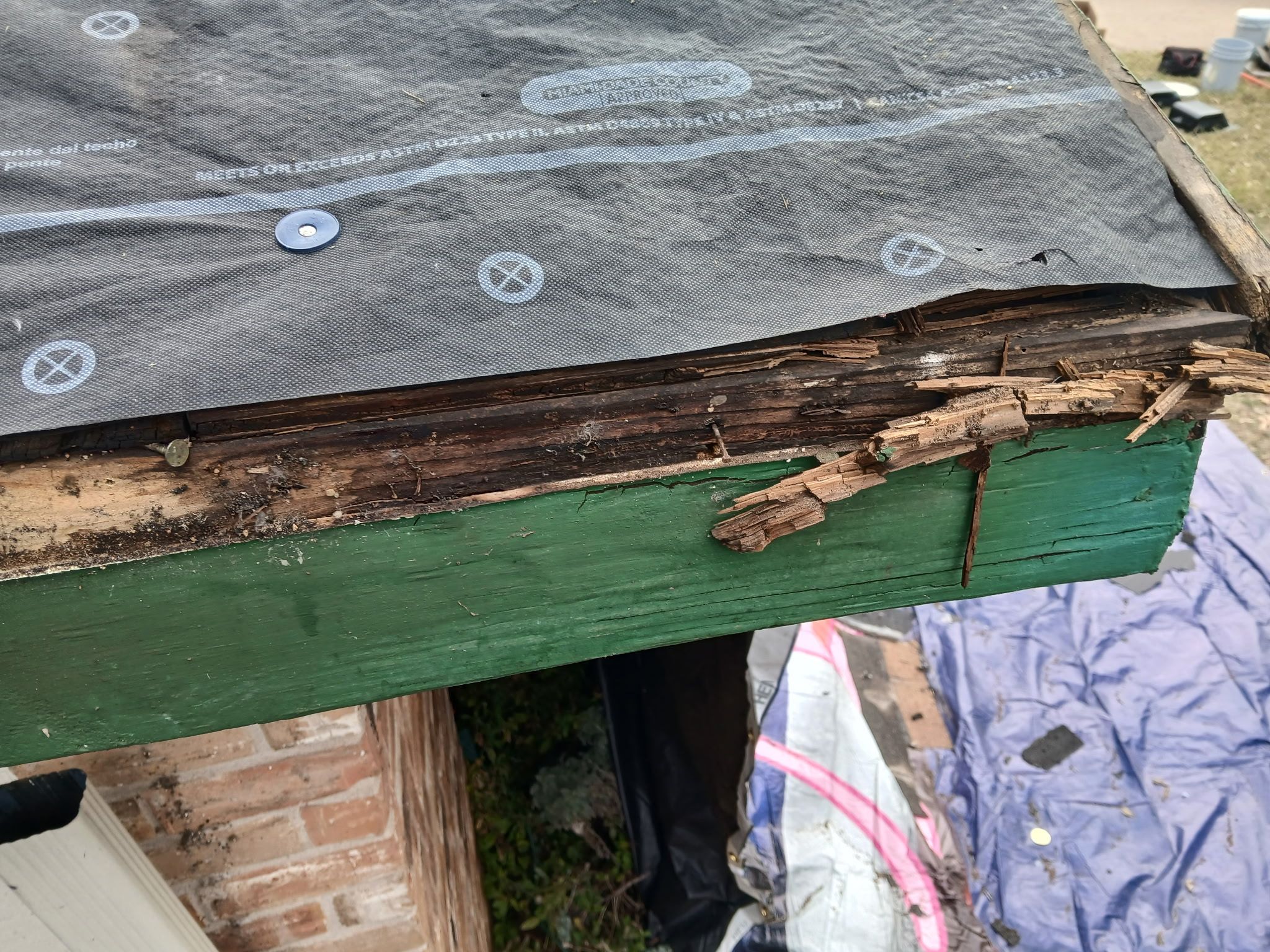 [Almost] All Trades by REPS OF TEXAS