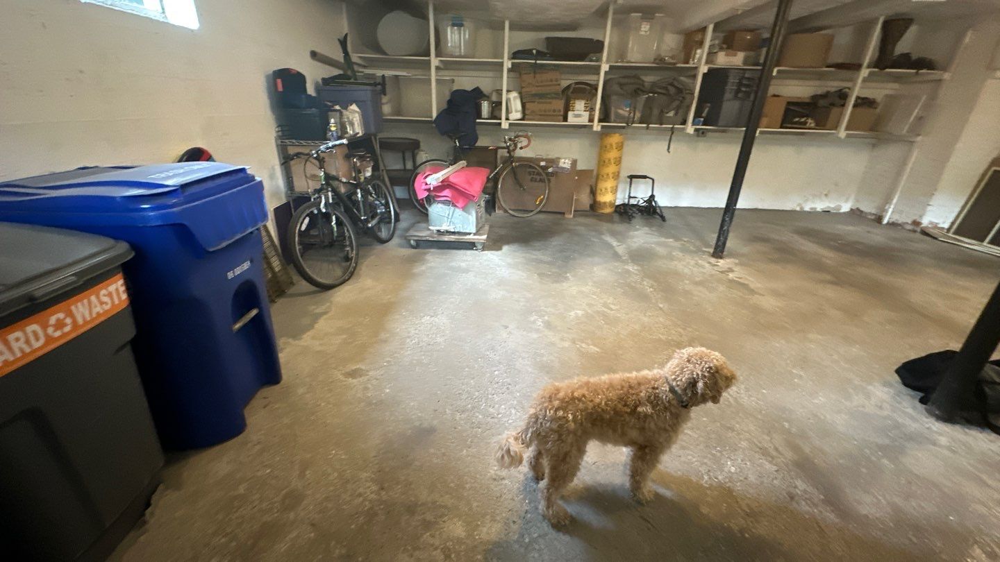 Fasciano Basement & Garage TransFLOORmation by Symphony Concrete Coatings